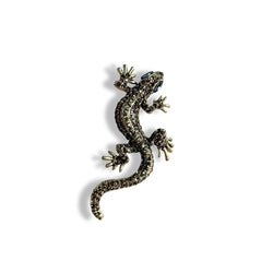Shimmer Lizard